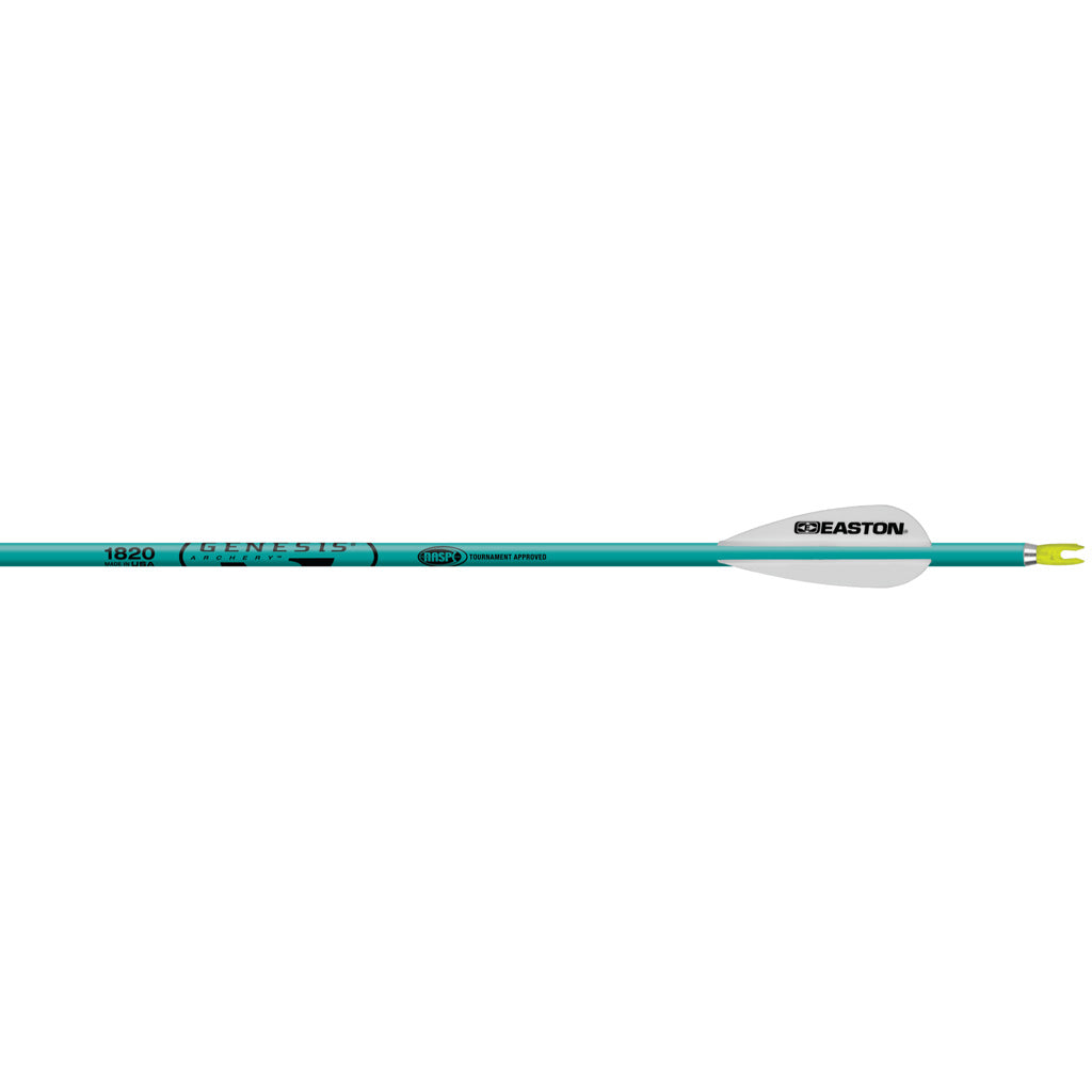 Easton Genesis Arrows in Teal 1820 6 pk. - Front View