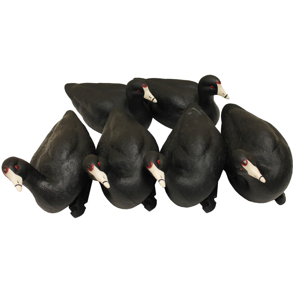 Mojo Outdoors MOJO Coot Confidence Decoys - Front View