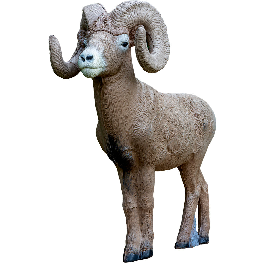 Rinehart 1/2 Scale Signature Bighorn Sheep Target - Front View