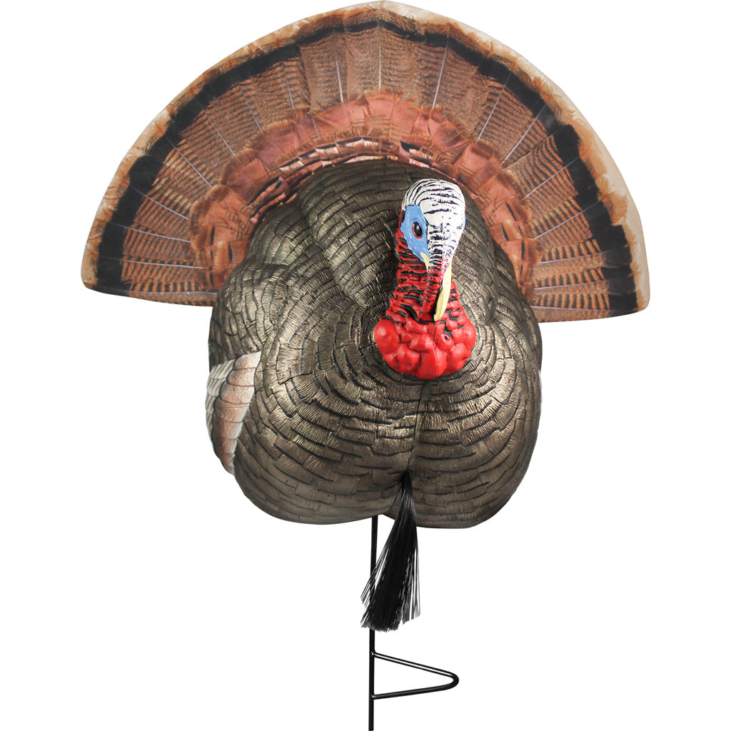 The Grind 1/4 Strutter Turkey Decoy - Front View