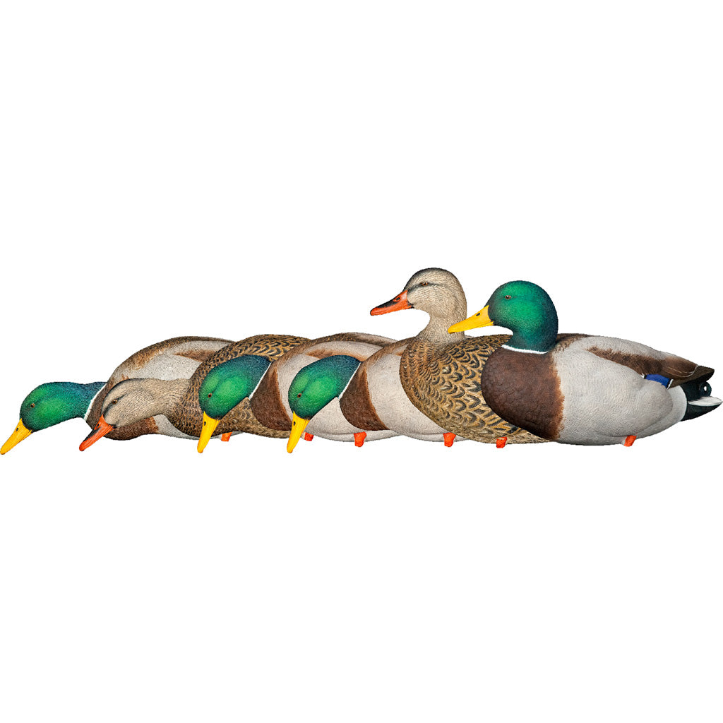 Avian-X Avian X AXP Fusion Duck Decoys - Front View