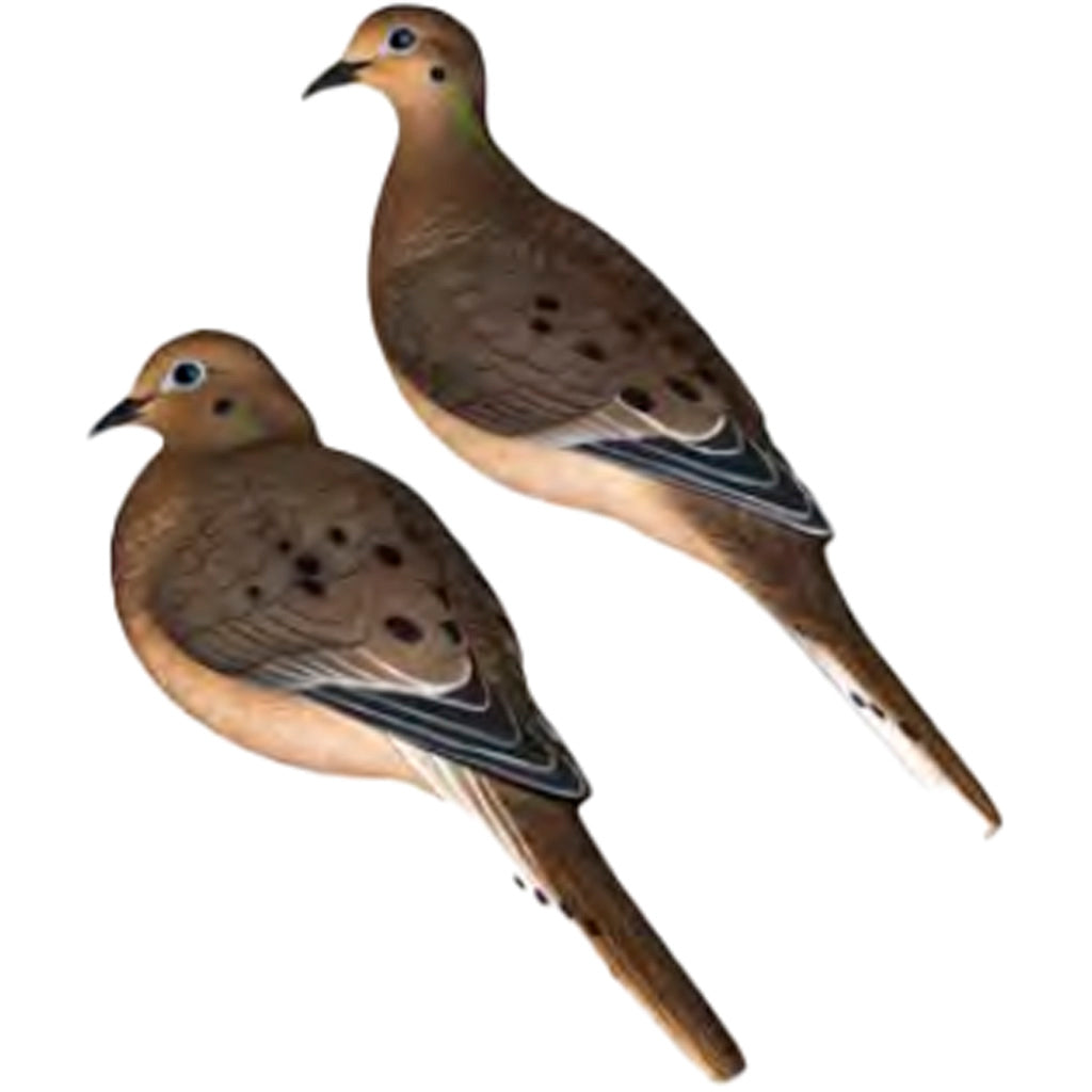 Avian-X Avian X AXP Full Body Dove Decoys - Front View