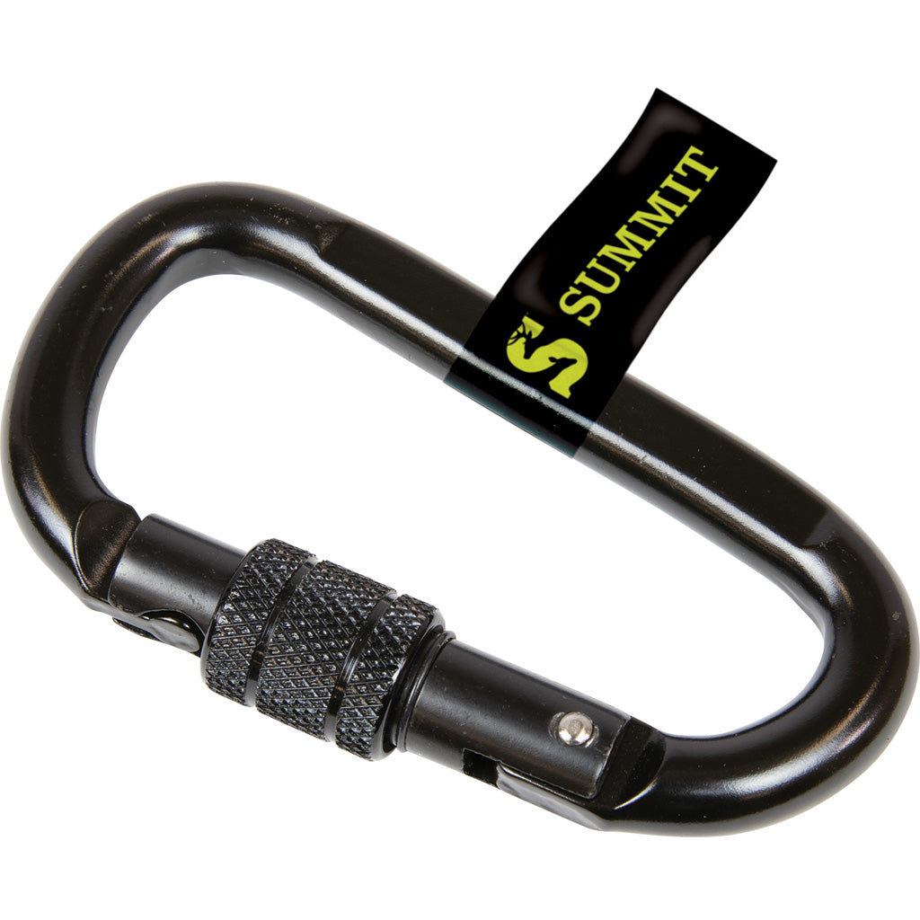 Summit Locking Carabiner - Front View