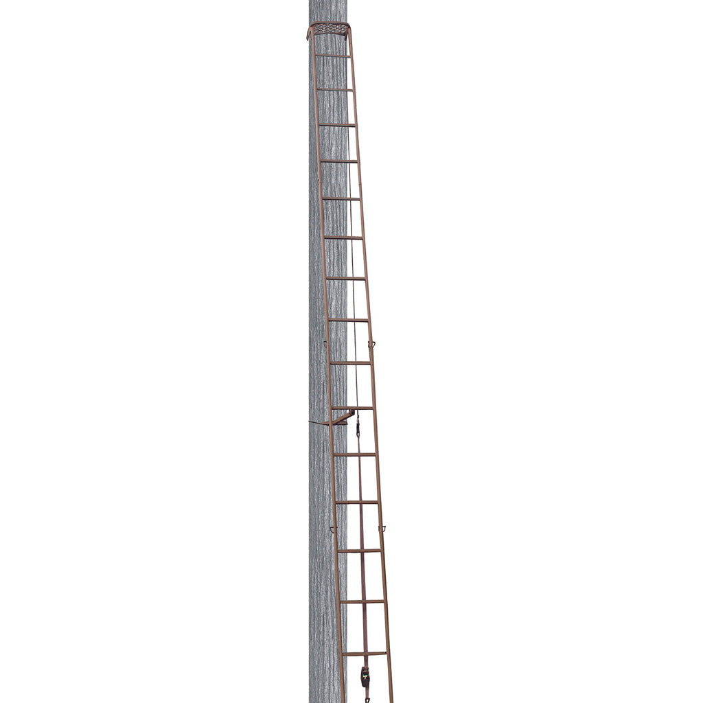 Trophy Treestands Hangtime Ladder - Front View