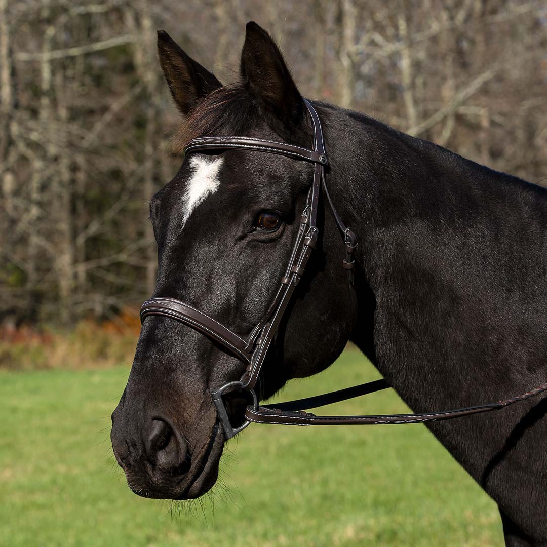 Henri de Rivel Pro Mono Crown Bridle with Padded Wide Noseband with Laced Reins