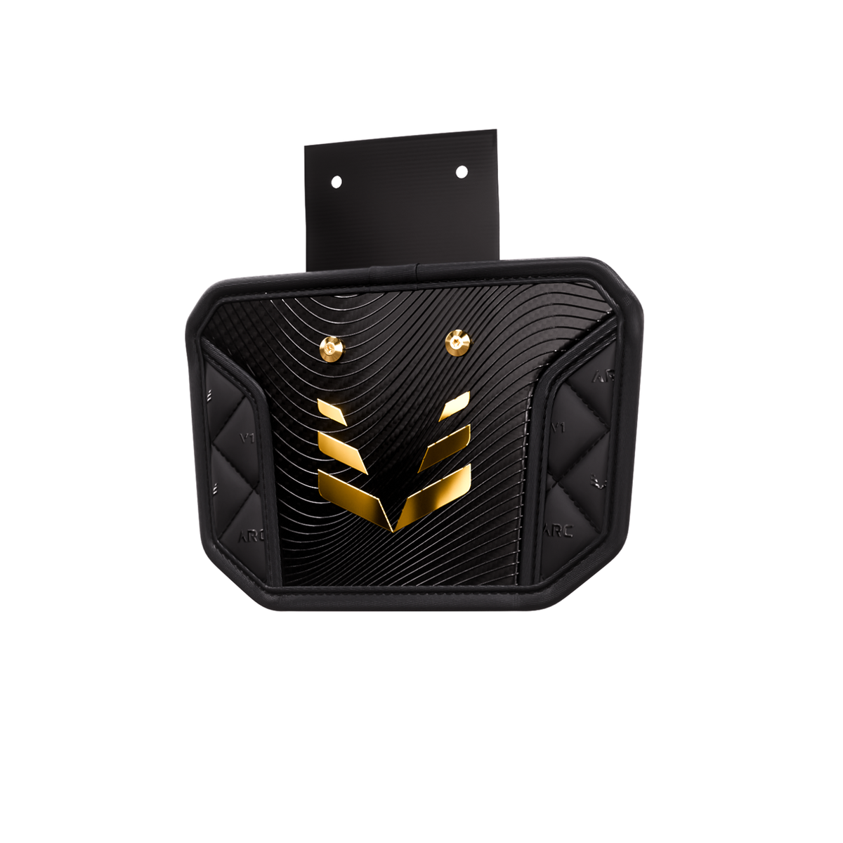 VICIS Arc_V1 Elite Back Plate - image 1