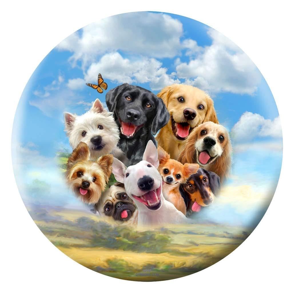 Bowlerstore Products Howard Robinson- Dogs Bowling Ball ) - view 1