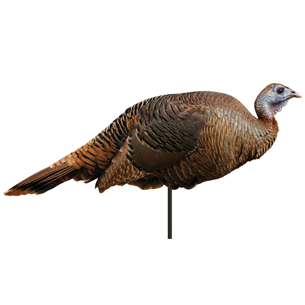 Montana Decoy Spring Fling Hen Decoy - Front View