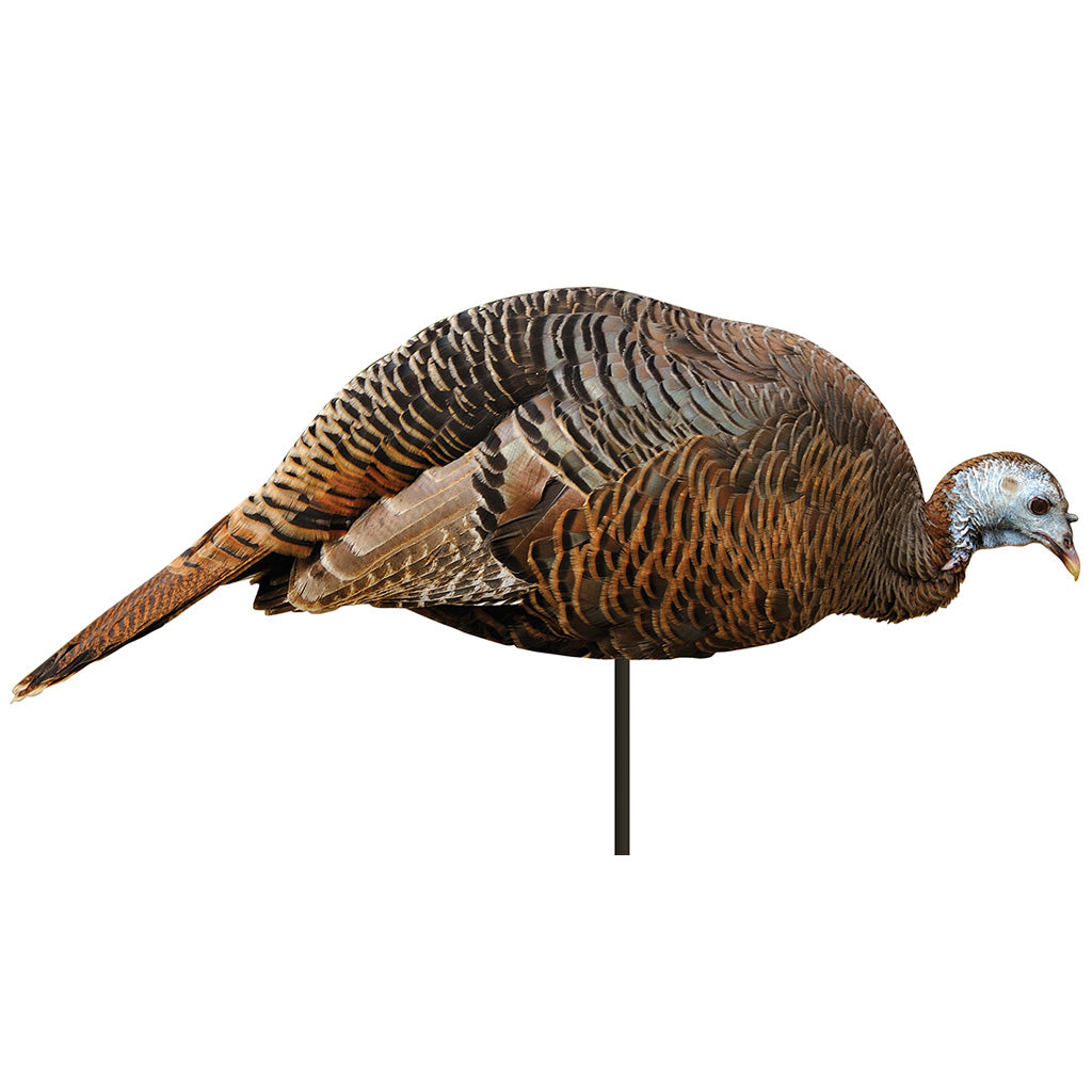 Montana Decoy Dinner Belle Hen Decoy - Front View