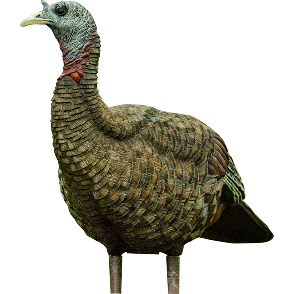 Avian-X Avian X Lookout Turkey Decoy - Front View