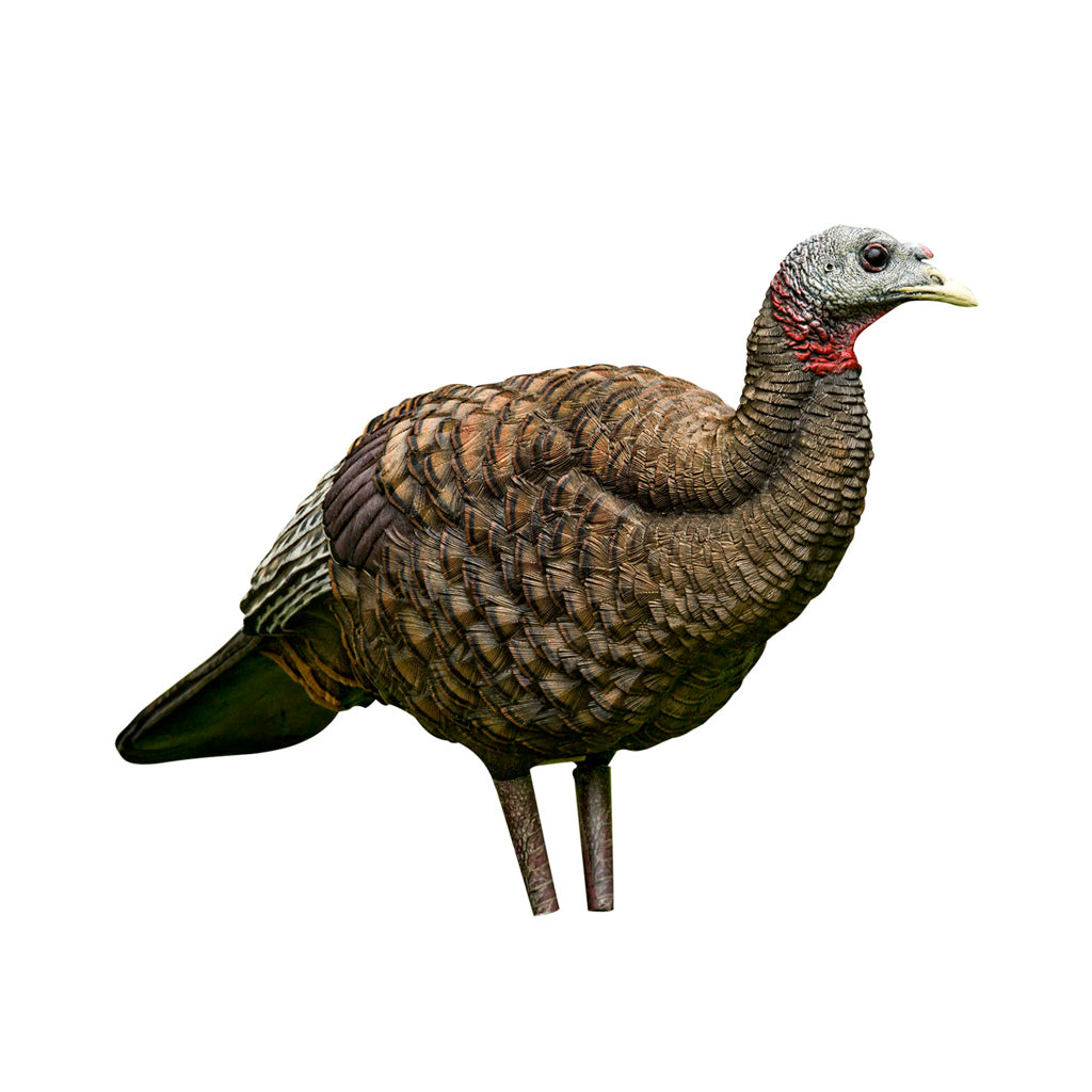 Avian-X Avian X Breeder Turkey Decoy - Front View
