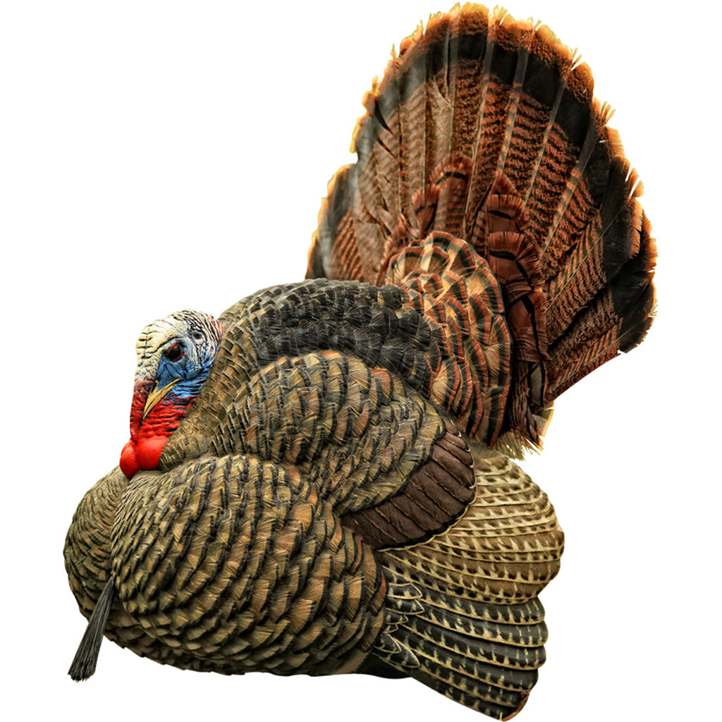 Avian-X Avian X Strutter Turkey Decoy - Front View