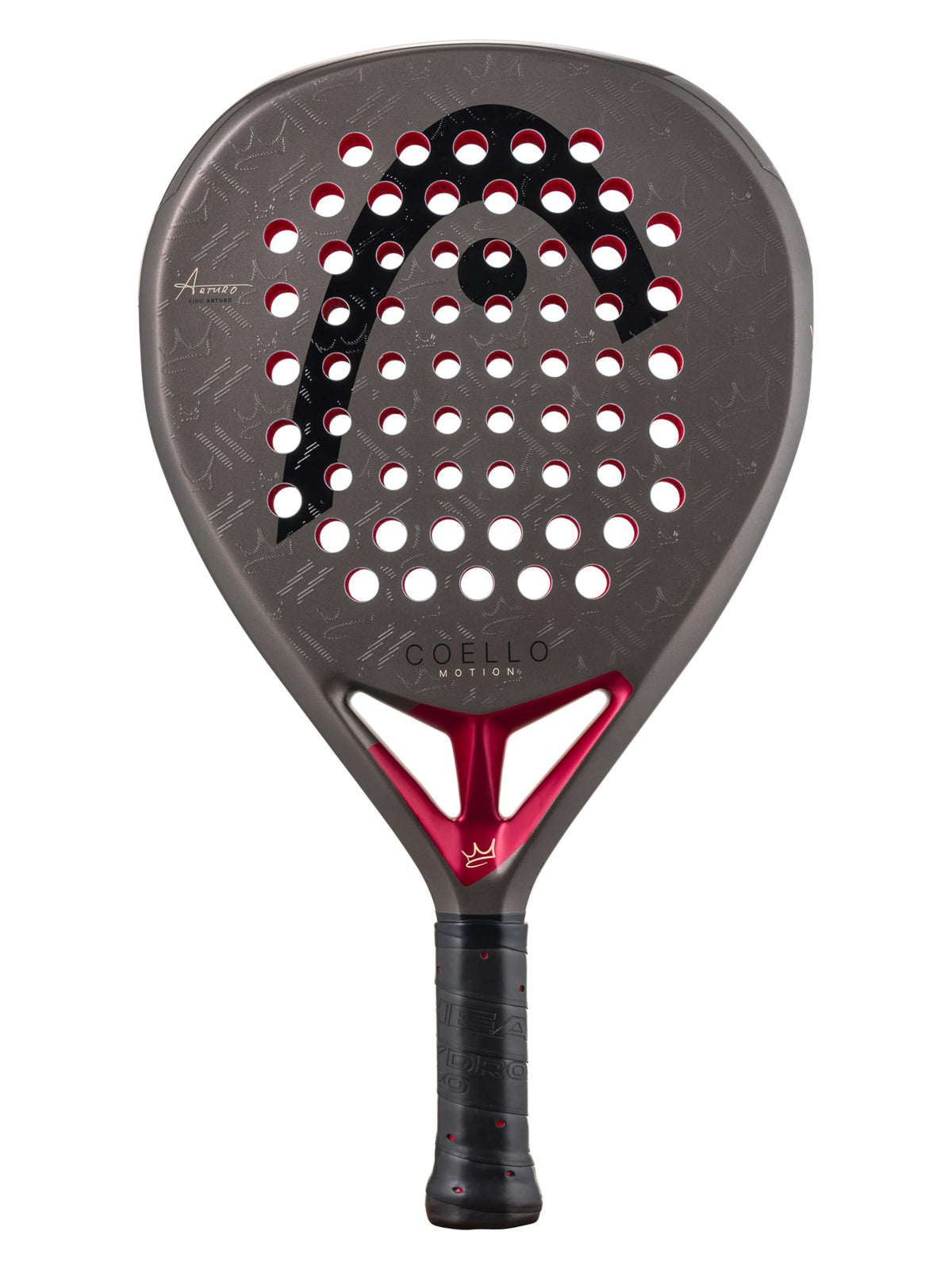 Head Coello Motion 2026 - front view