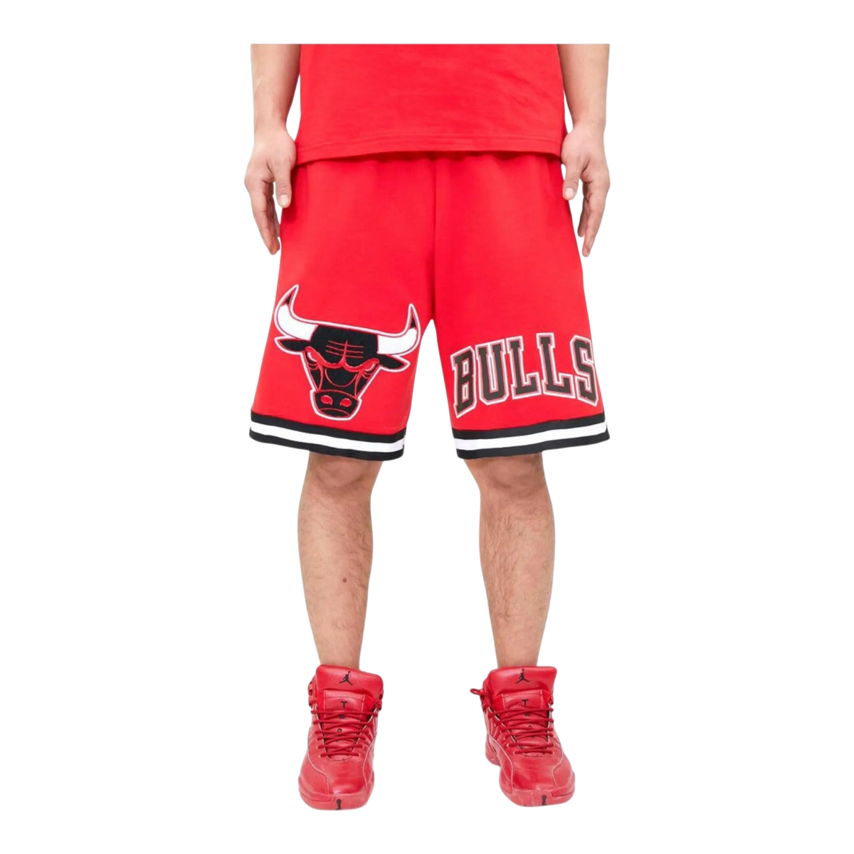 Pro Standard Chicago Bulls Classic Chenille Men's Shorts — Red
