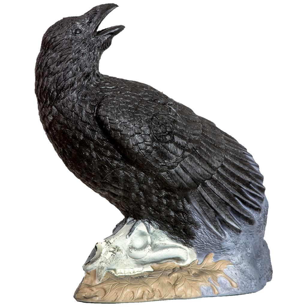 Rinehart Raven Target - Front View