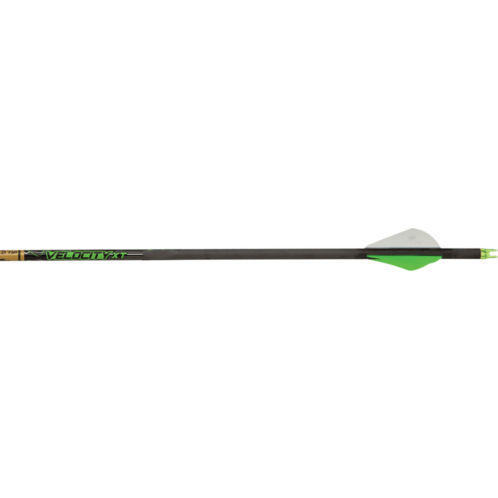 Gold Tip Velocity XT Arrows - Front View