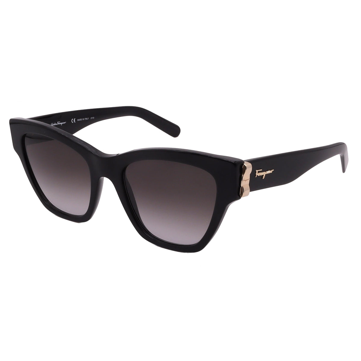 Salvatore Ferragamo Sunglasses SF1010S-001-53-19-140 Non-Polarized