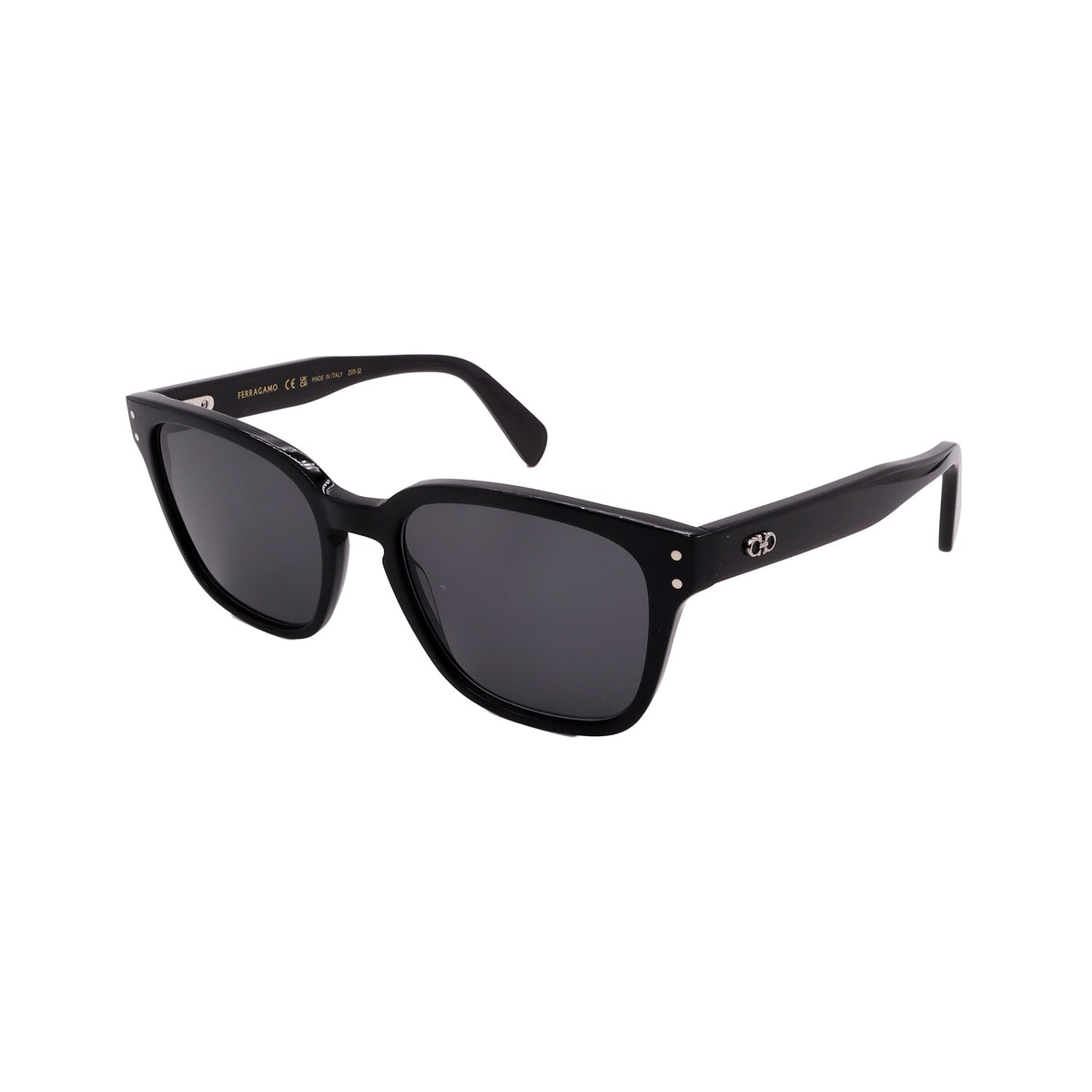 Salvatore Ferragamo Sunglasses SF1040S-001-55-19-150 Non-Polarized