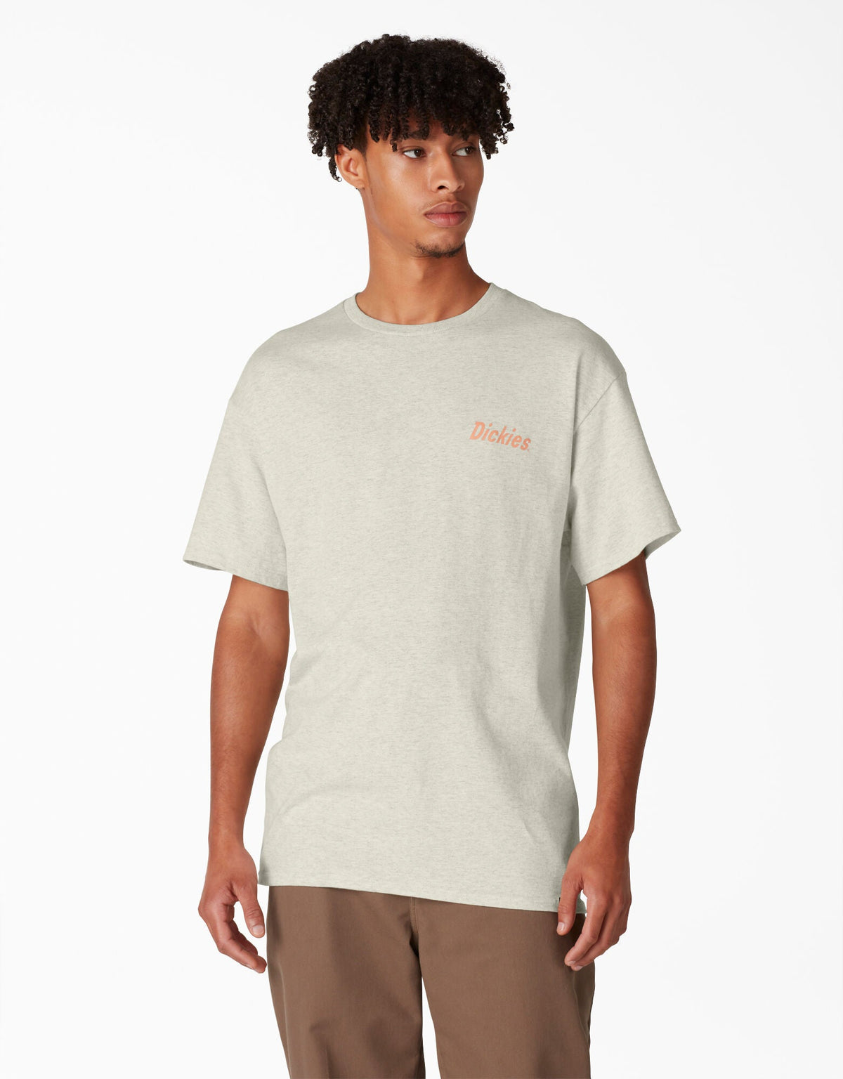 Dickies Skateboarding Split Graphic T-Shirt - Oatmeal Heather