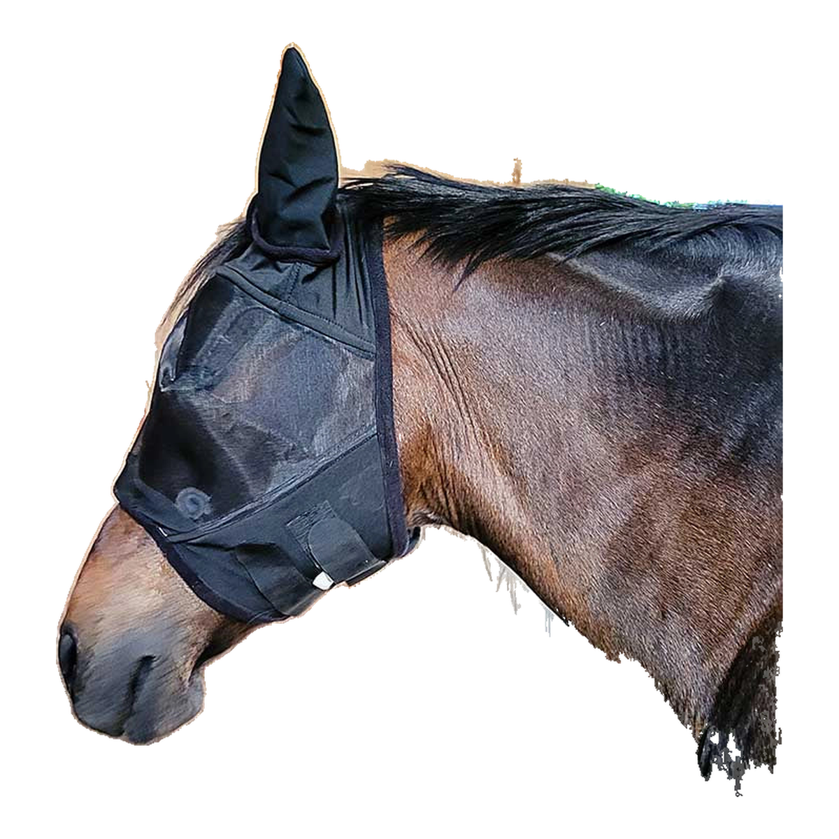 Fly Mask with Lycra Ears - 121003-BKCB, 121003-BKHR, 121003-BKOS, 121003-BKPY - Great Call Athletics