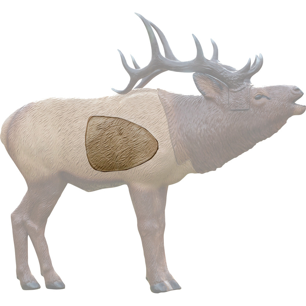Rinehart 1/3 Scale Elk Insert - Front View