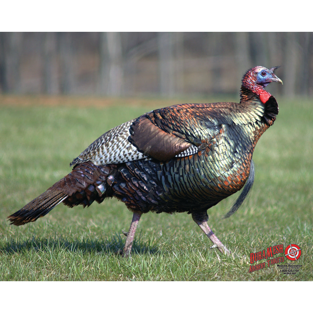 DuraMesh Archery Target in Turkey 25 in. x 32 in. - Front View
