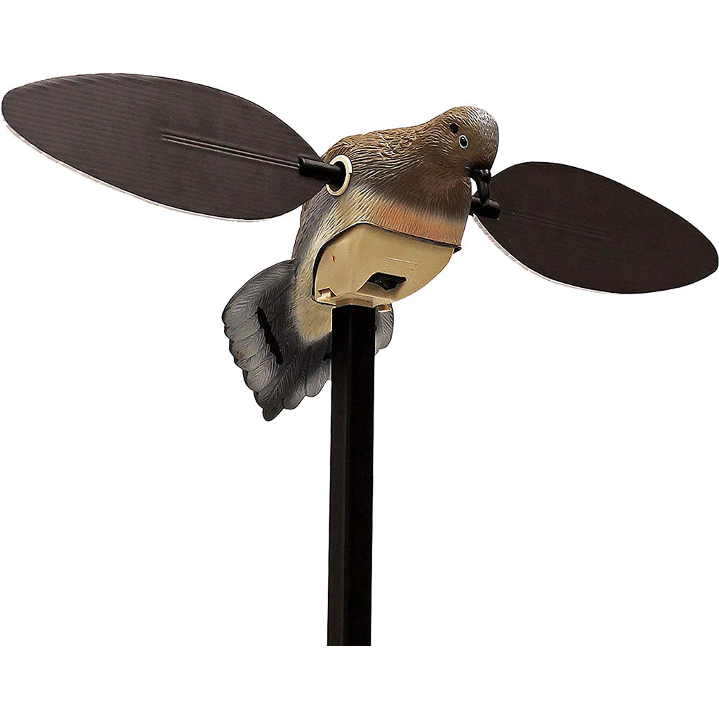 Mojo Outdoors Mojo Elite Series Dove Decoy - Front View
