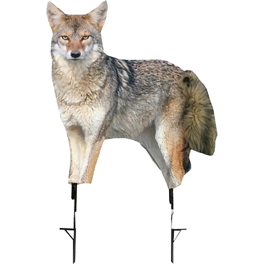 Montana Decoy Song Dog Coyote Decoy - Front View