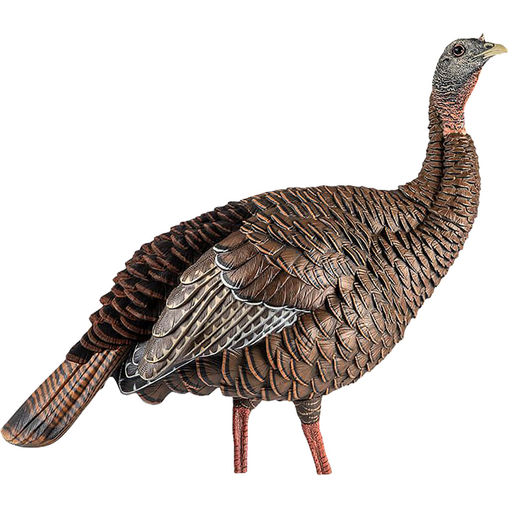 Avian-X Avian X HDR Hen Decoy - Front View