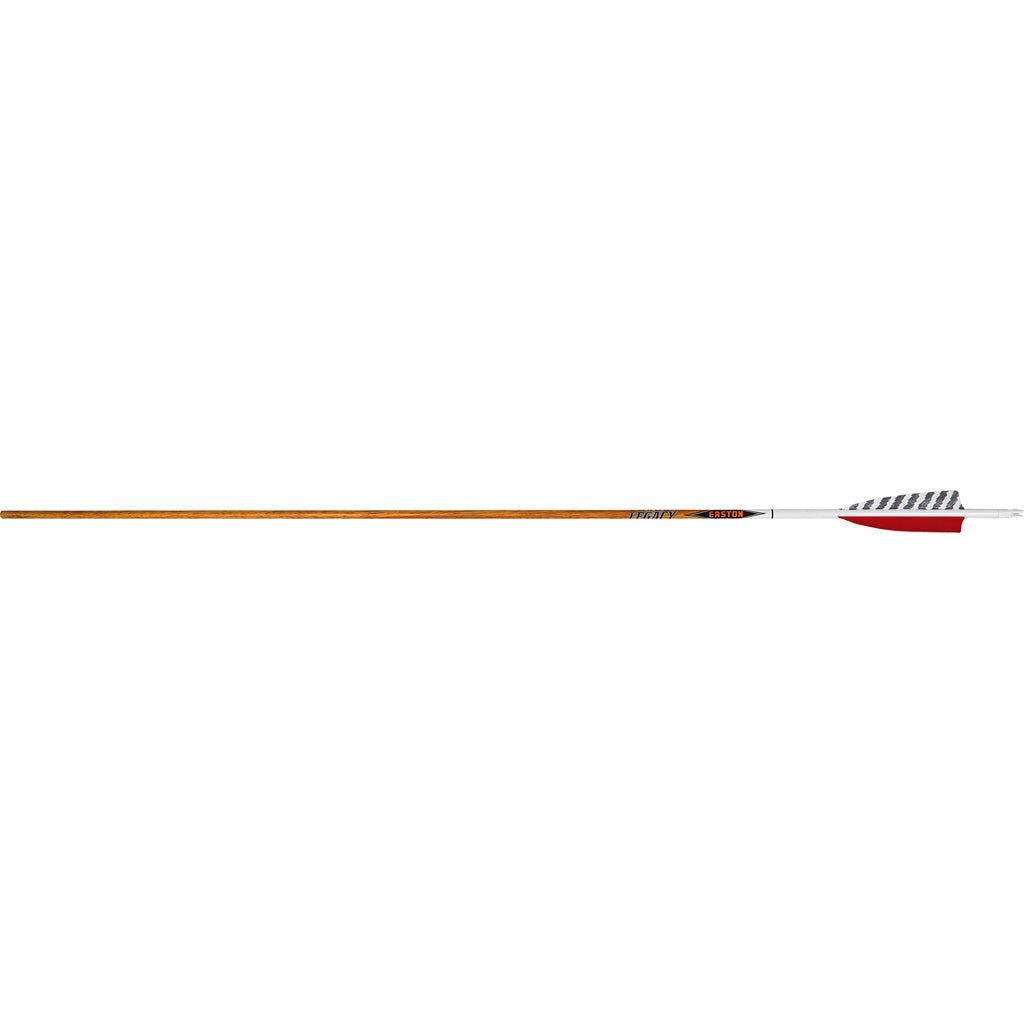 Easton Carbon Legacy Arrows in 500 - Front View