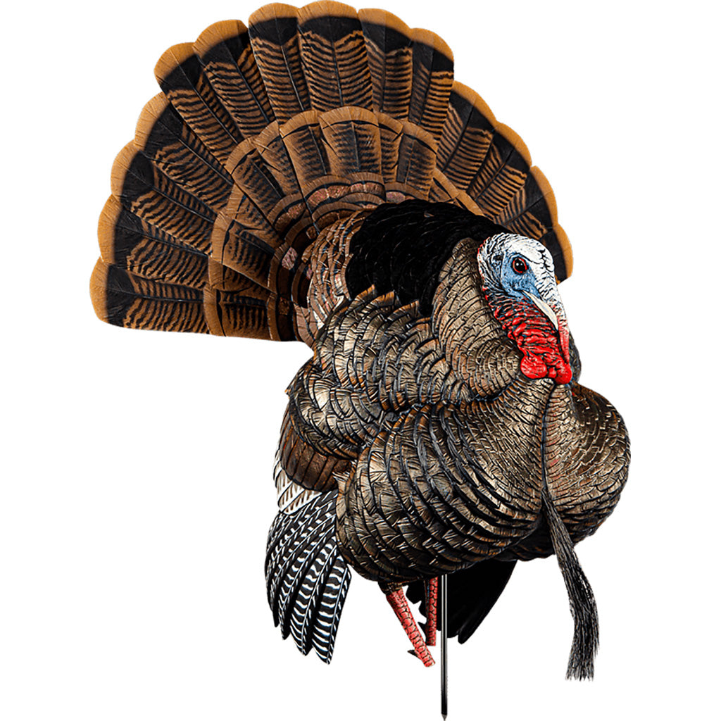Avian-X Avian X HDR Strutter Decoy - Front View