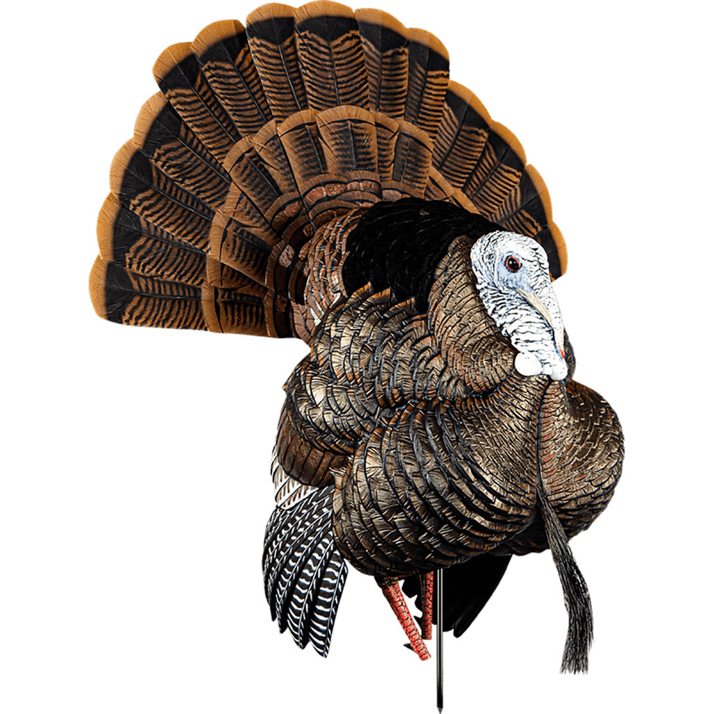 Avian-X Avian X HDR Strutter Decoy - Alternate View 1