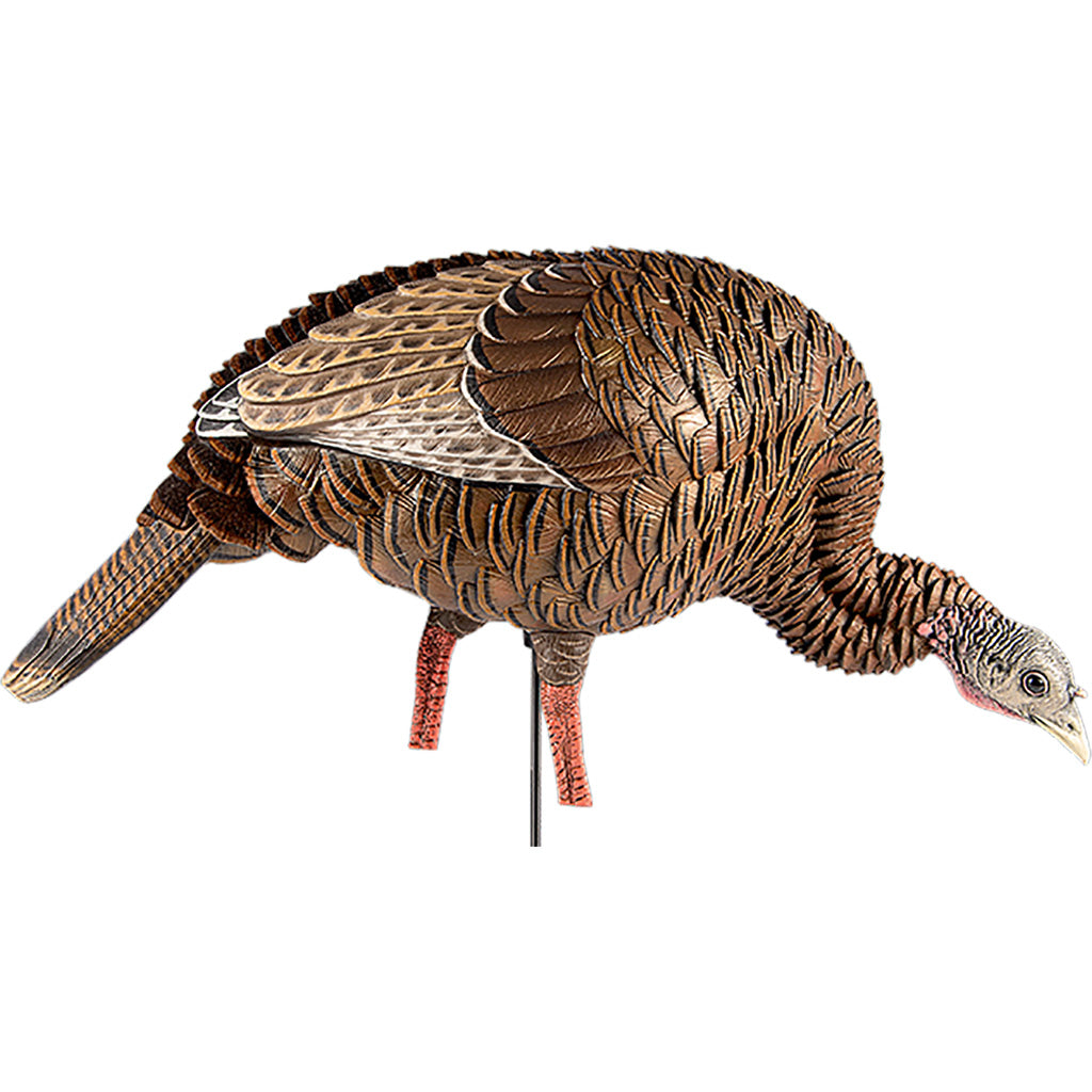 Avian-X Avian X HDR Feeding Hen Decoy - Front View