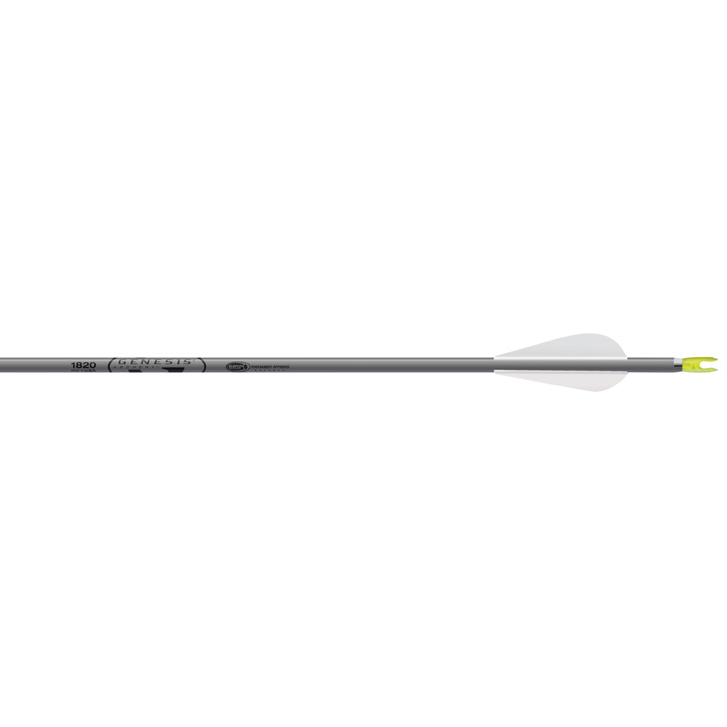 Easton Genesis Arrows in 3 in. Vanes Silver 6 pk. - Front View