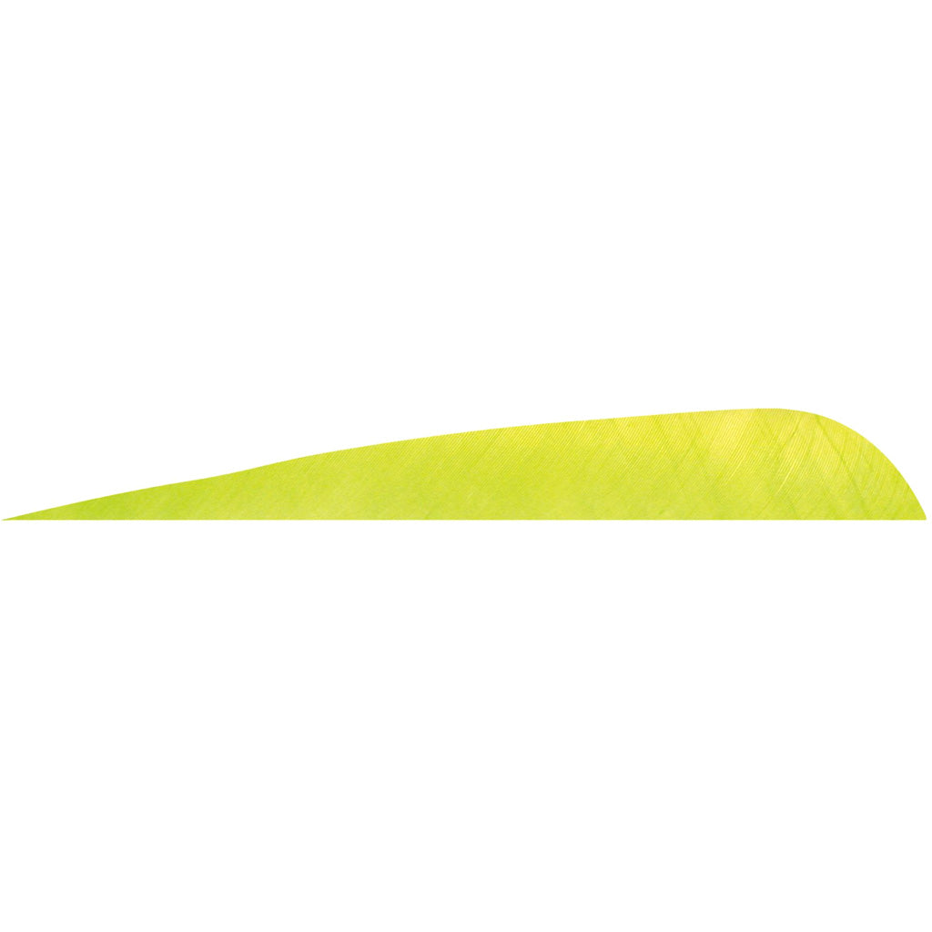Gateway Parabolic Feathers in Lime 5 in. RW 12 pk. - Front View