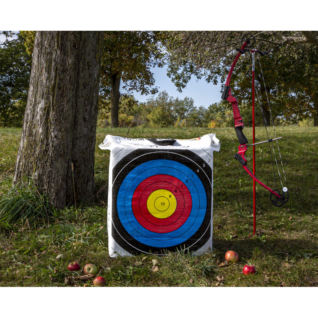 Rinehart NASP Homework Target - Alternate View 1