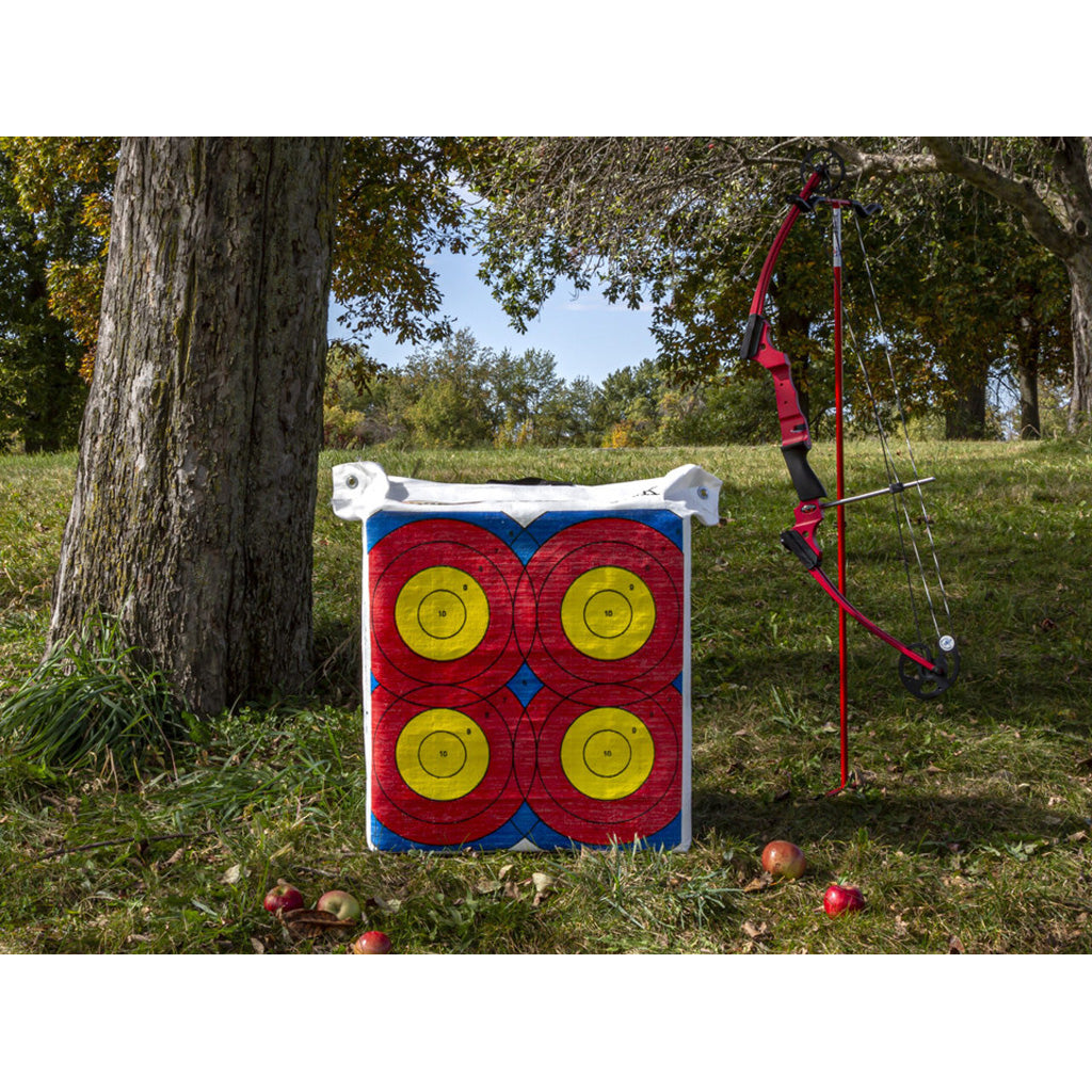 Rinehart NASP Homework Target - Alternate View 2