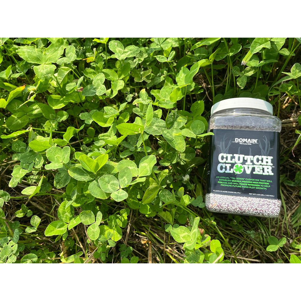 Domain Clutch Clover Seed - Alternate View 1