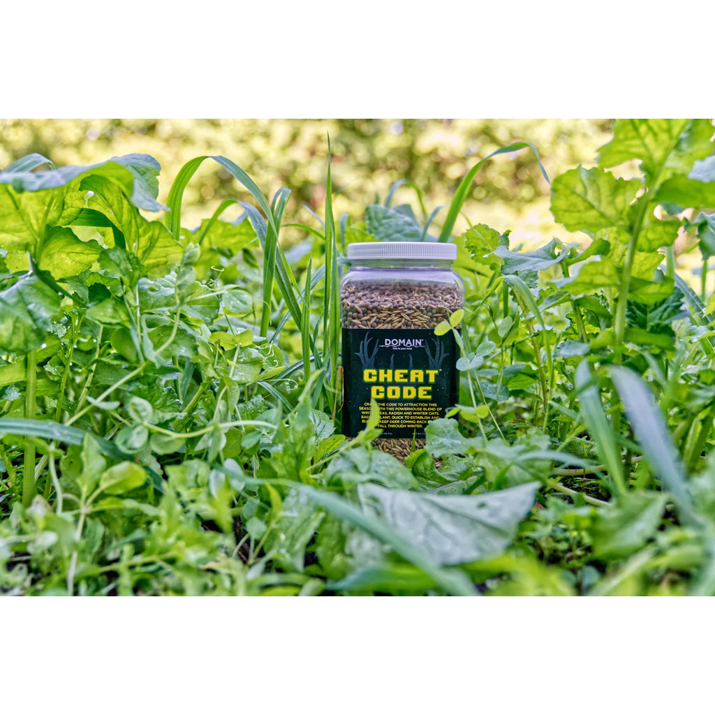 Domain Cheat Code Seed - Alternate View 1