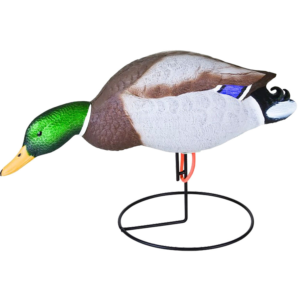 Flambeau Field Mallard Decoy - Alternate View 2