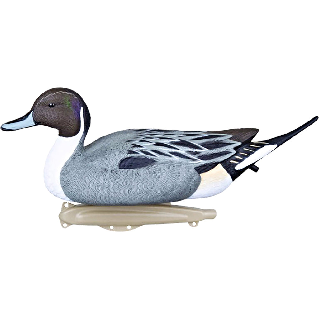 Flambeau Classic Pintail Decoy - Front View