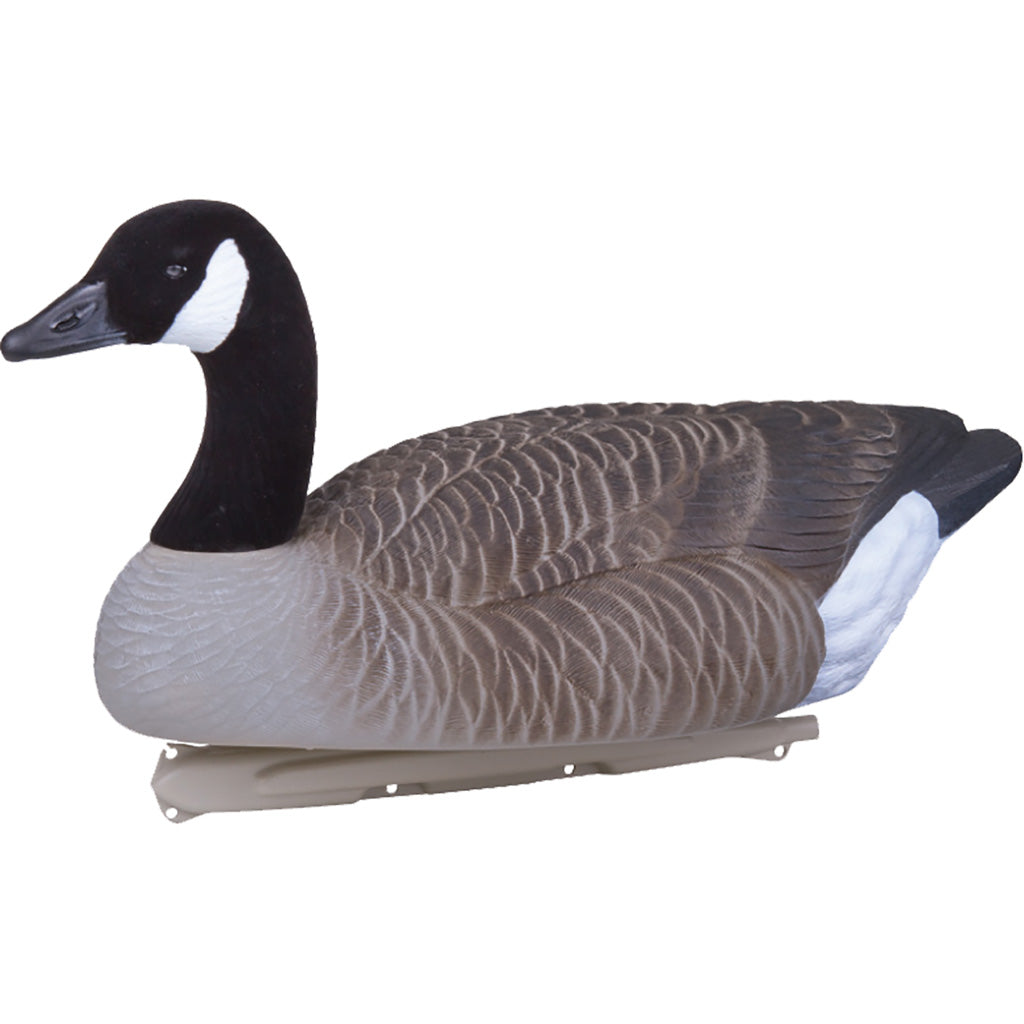 Flambeau Water Pack Canada Goose Decoy - Front View