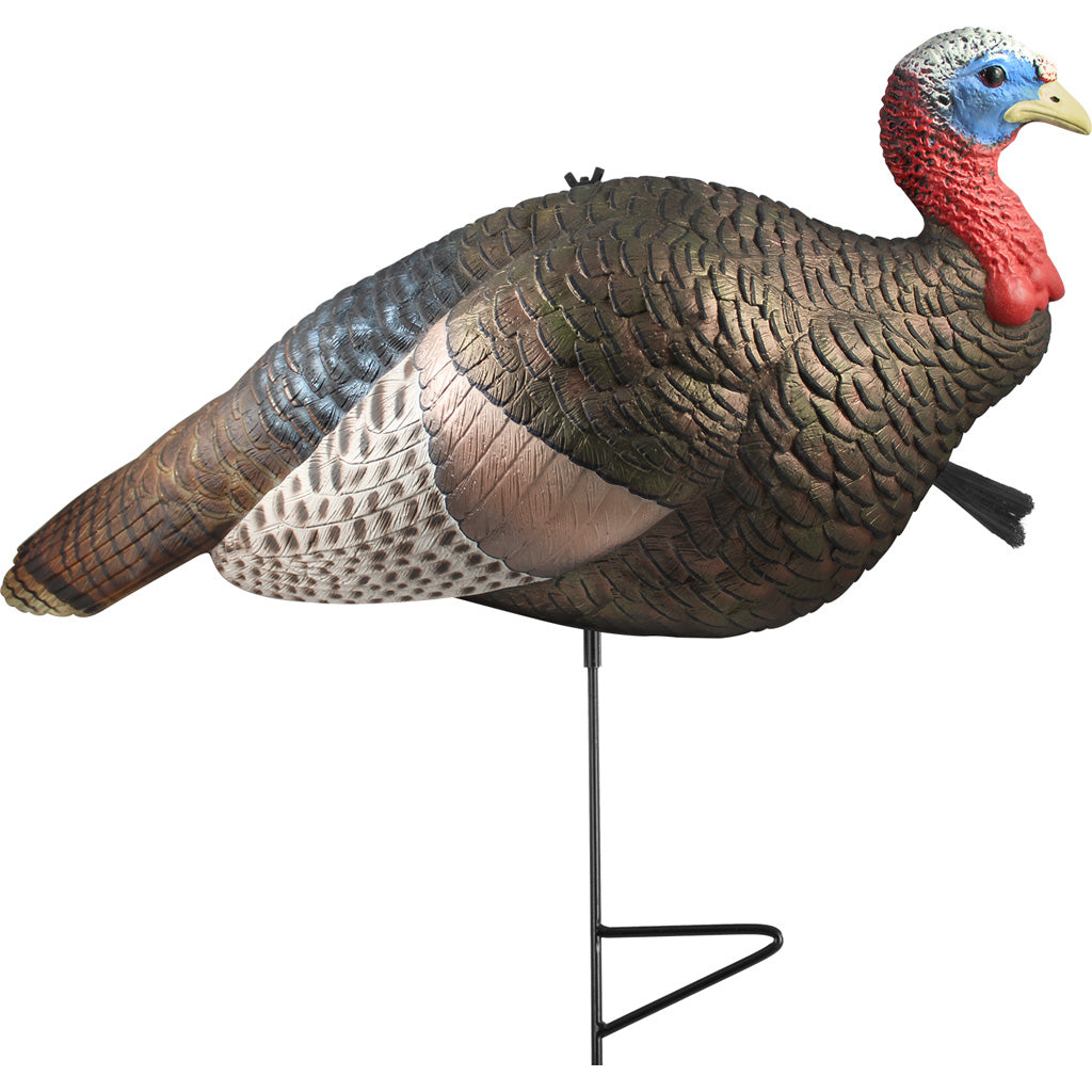 The Grind 1/2 Strut Jake Turkey Decoy - Front View