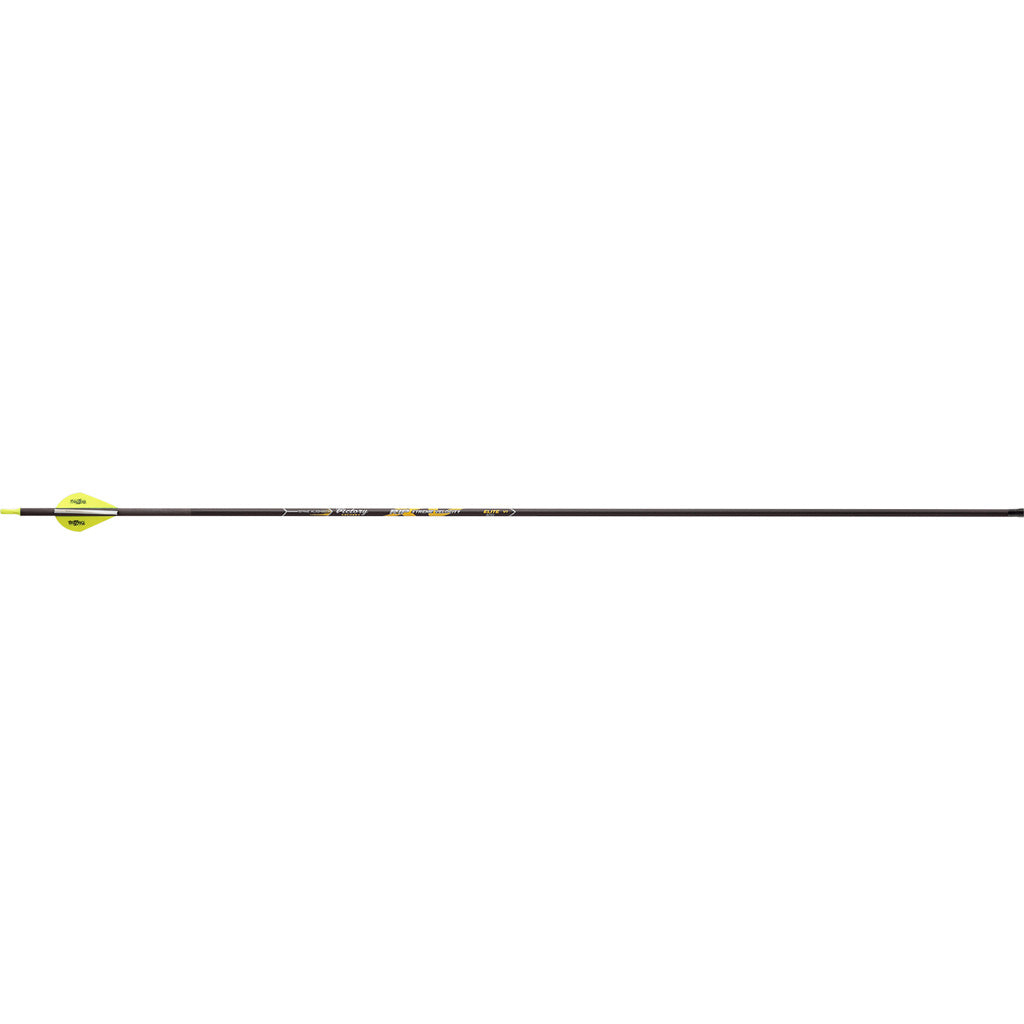 Victory RIP XV Elite Arrows in 300 - Front View