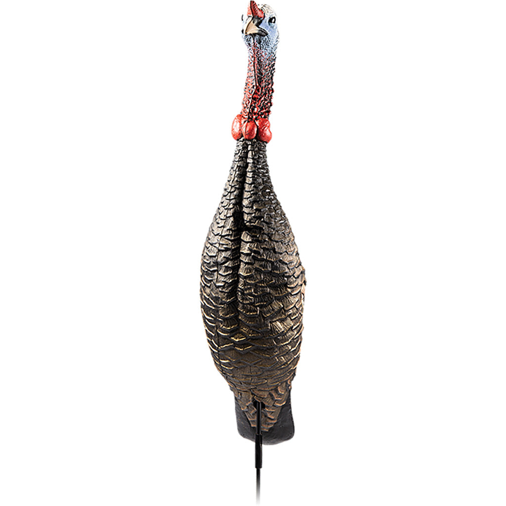 Flextone Funky Chicken Gen 2 Turkey Decoy - Alternate View 1