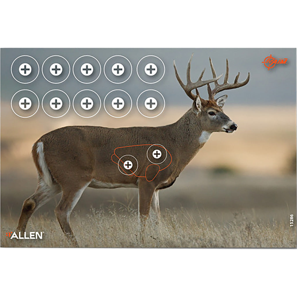 Allen EzAim Four Color Whitetail Paper Target - Front View