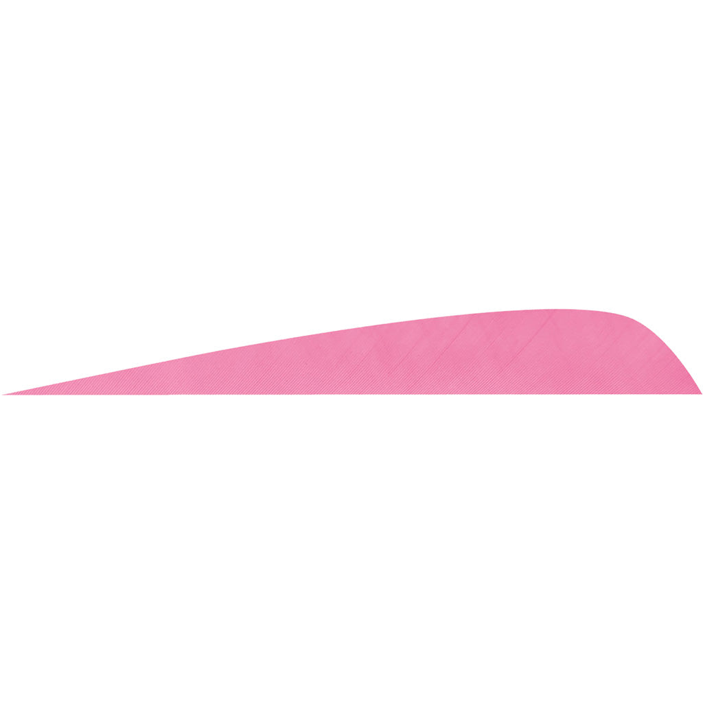 Gateway Parabolic Feathers in Flo Pink 4 in. LW 50 pk. - Front View