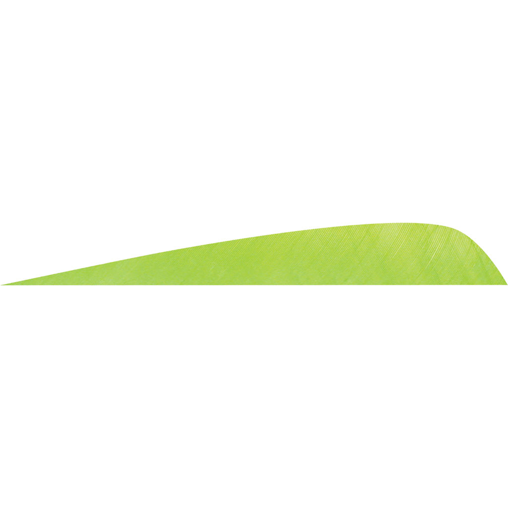 Gateway Parabolic Feathers in Chartreuse 4 in. RW 50 pk. - Front View