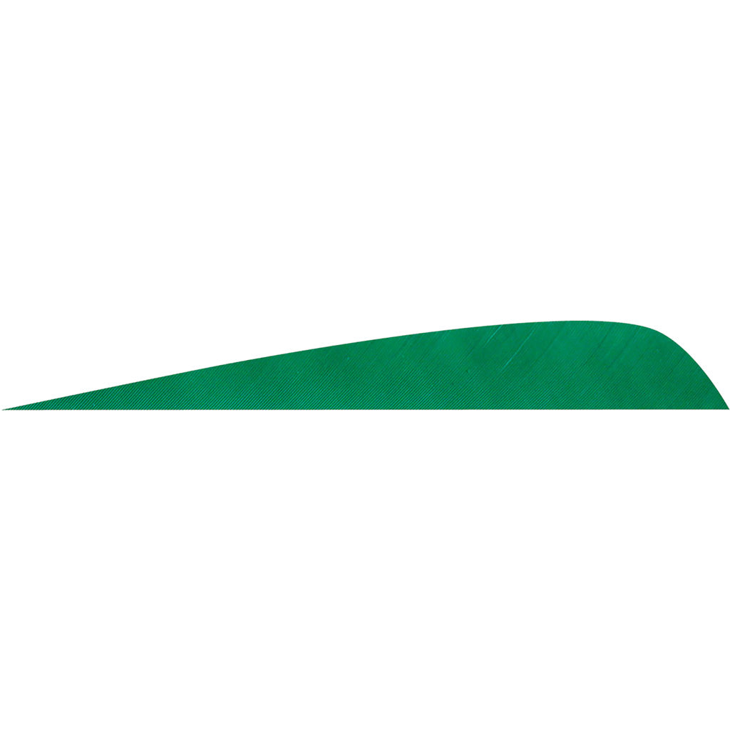 Gateway Parabolic Feathers in Green 4 in. RW 50 pk. - Front View