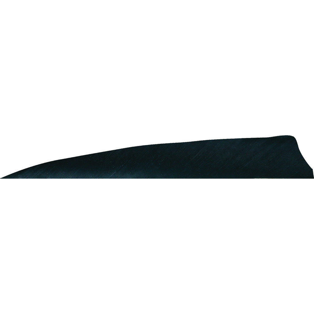 Gateway Shield Cut Feathers in Black 4 in. RW 50 pk. - Front View